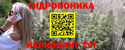 jwh Будённовск