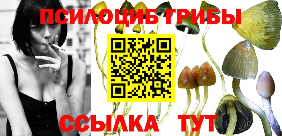 Тольятти  Псилоцибиновые грибы GOLDEN TEACHER  Вход с VPN 